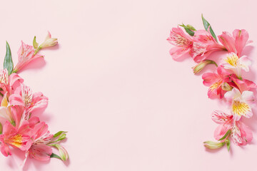 Obraz na płótnie Canvas alstroemeria flowers on pink background