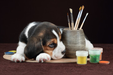 Cute little beagle puppy with brushes and paints