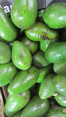 Aguacates 