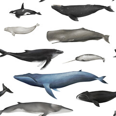 Watercolor whales seamless pattern isolated. Hand-drawn underwater ocean animals backdrop for fabric, packaging paper. Blue, sperm whale, fin whale, gray whale,  minke, killer whale, humpback, narwhal - obrazy, fototapety, plakaty