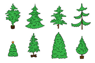 Christmas tree color outline vector set. Cartoon Christmas tree illustration, Evergreen pine, fir New year decoration. Isolated winter symbol for card, sale poster, illustration,  book design.