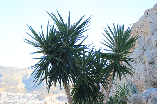 Jard&iacute;n Nacional de Atenas