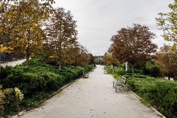 A long walk along a dirt path lined with wooden benches, hedges and trees