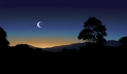 moon over the forest