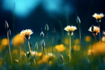 Papier Peint photo Herbe Floral summer spring background. Yellow dandelion flowers close-up in a field on nature on a dark blue green background in evening at sunset. Colorful artistic image, free copy space. generative ai.