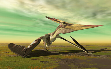 Flugsaurier Pteranodon geht durch eine Landschaft © Michael Rosskothen