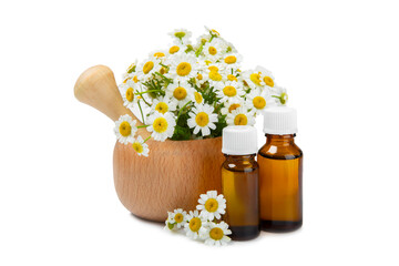 Glass bottle with chamomile essential oil isolated on white background. Chamomile flowers, close up. Aromatherapy, spa and herbal medicine ingredients. Beauty concept. Natural cosmetics