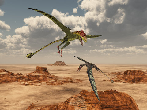 Flugsaurier Peteinosaurus und Rhamphorhynchus über einer Wüstenlandschaft
