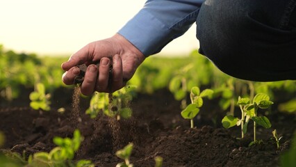 farmer holds soil field hand. Agriculture. methods growing processing plants, various technologies practices aimed increasing productivity improving product quality, farmer holds soil hand field soil. - obrazy, fototapety, plakaty