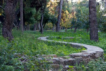 footpath in the woods