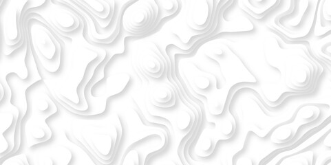 Abstract wavy line 3d paper cut white background. Topographic canyon geometric map relief texture with curved layers and shadow. Abstract realistic papercut decoration textured with wavy lines	