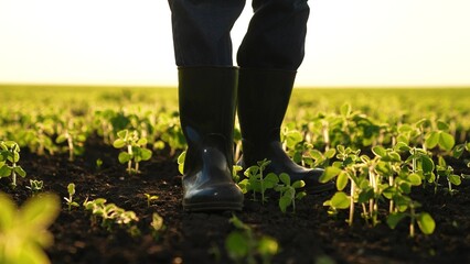 senior farmer walking boots fertile soil, agriculture business concept, worker man boots walking...