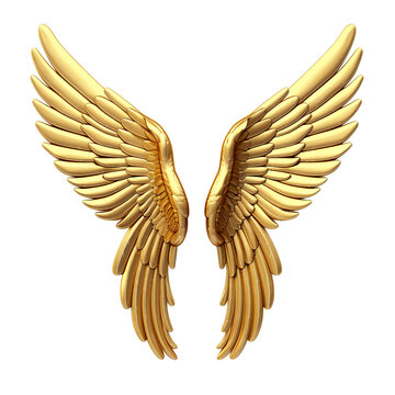 Golden angel wings isolated