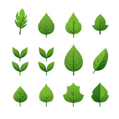 Set of leaves green leaf nature art illustration, white background, png