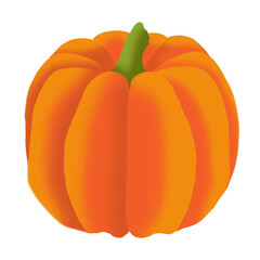 pumpkin isolated on white illustration
