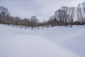 冬の雪原