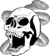 vector illustration of outline human skull design