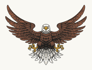 American bald eagle label colorful