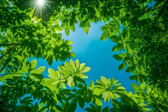 Fresh Green Leaves And Sky captured in a photograph, showcasing a canopy of vibrant green leaves against a clear blue sky