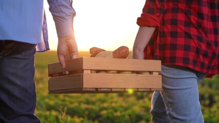 agriculture, close-up box with vegetables, close-up box potatoes carrots, farmer hand carries box,...