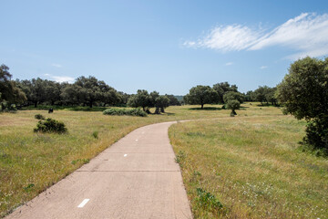 Fototapeta na wymiar rural road in the middle of the Extremadura pasture to walk and play sports and have a healthy life.