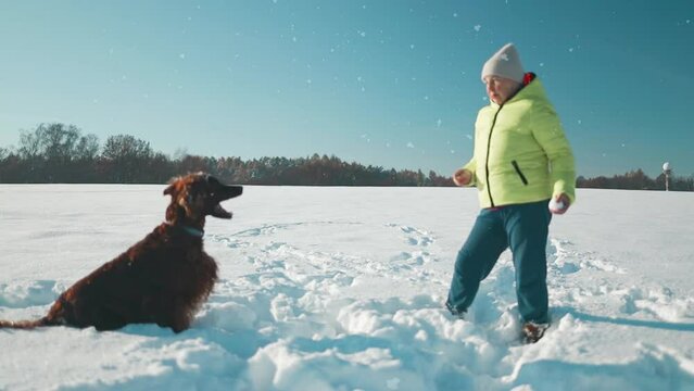Happy beautiful 50s woman blowing snowflakes from her hands to her dog irish setter enjoying winter snow outdoors activity in winter day holiday. People and animals together having fun and smiling