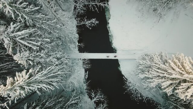 Kicksledding In Winter Wonderland Inside Snowy Forest