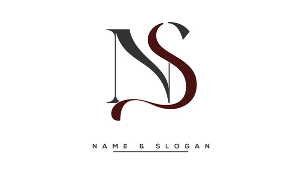 NS,  SN,  N,  S  Abstract  Letters  Logo  Monogram