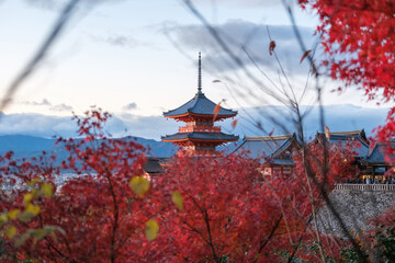KYOTO, JAPAN, NOV 30, 2023, Autumn colors and Fall foliage at Kiyomizu-dera temple in Kyoto.