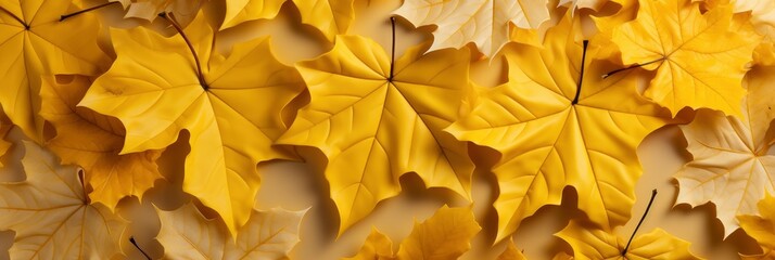Autumn Maple Leaves Background Close , Banner Image For Website, Background, Desktop Wallpaper