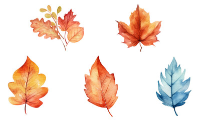 Autumn leaves in watercolor. Transparent background. Resource in png.