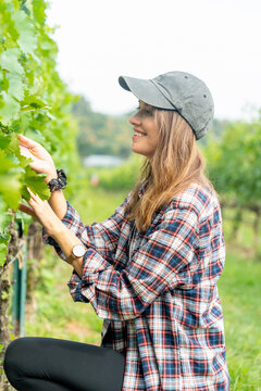 Vertical image of winery worker or farmer woman walk and check grape vine in the yard or field with day light.
