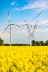 Wind turbine and high-voltage lines on yellow rapeseed fields. Photo taken on a sunny day.