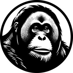 Orangutan icon 7