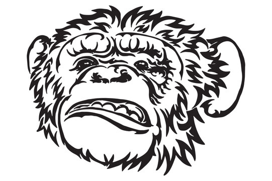 Chimpanzee Head Tattoo Design