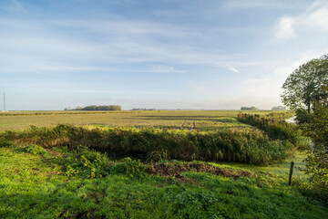 Fototapeta na wymiar Country landscapes outside of the town of Ferwert, the Netherlands