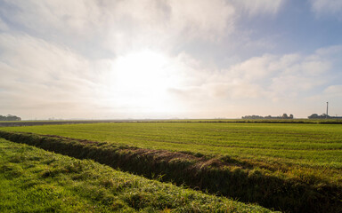 Country landscapes outside of the town of Ferwert, the Netherlands
