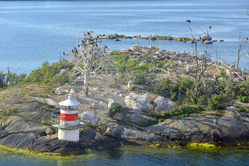 Bird Islands. Uninhabited Island with lighthouse and dead trees in Baltic Sea