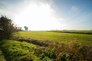 Country landscapes outside of the town of Ferwert, the Netherlands