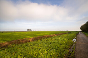 Agricultural fields near Blije, the Netherlands