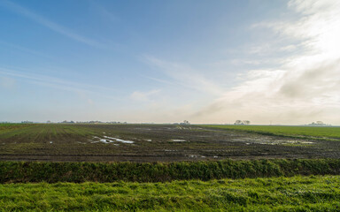 Agricultural fields near Blije, the Netherlands