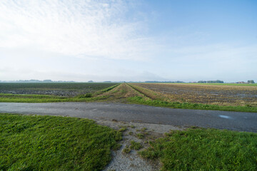 Agricultural fields near Blije, the Netherlands