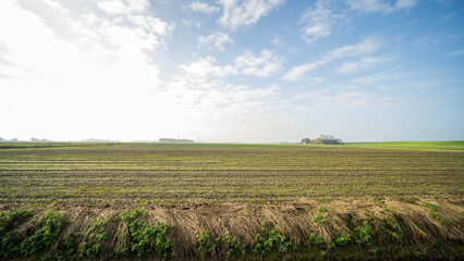 Agricultural fields near Blije, the Netherlands