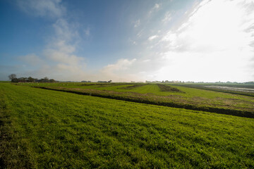 Fototapeta na wymiar Agricultural fields in Noard-east Fryslan, the Netherlands