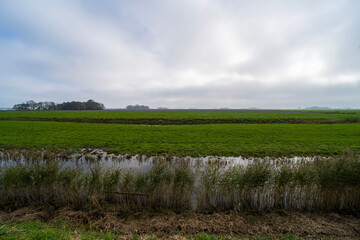 Fields outside of Ternaard, the Netherlands