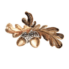 Watercolor oak branch with acorns and leaves. Template isolated illustration of autumn leaves. Hand drawn for invitations and cards, printing on packaging, embroidery and textiles, making stickers