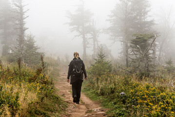 Girl hiking Mountain scenic trail after rain Green forest covered fog Cape Breton National Park Nova Scotia Canada
