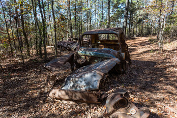 Vintage American cars left to rot in wooded area - 688651275