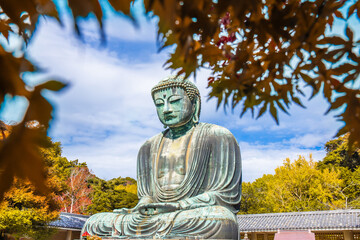 Daibutsu or Great Buddha of Kamakura in Kotokuin Temple at Kanagawa Prefecture Japan with leaves changing color It is an important landmark and a popular destination for tourists and pilgrims.