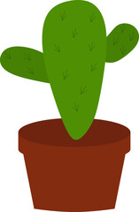 Potted Plant Cactus